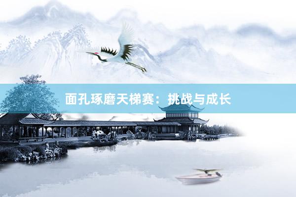 面孔琢磨天梯赛：挑战与成长