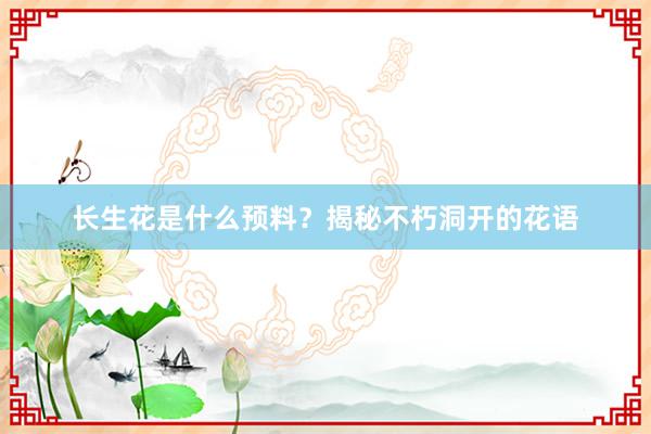 长生花是什么预料？揭秘不朽洞开的花语