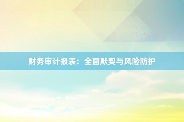 财务审计报表：全面默契与风险防护